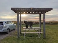 Mustang Island State Park