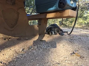 Grand Canyon - Mather Campground