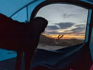 Mojave - Hole in the Wall Campground